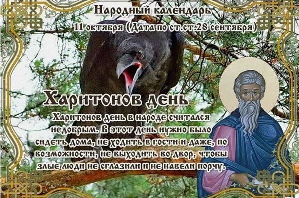Фото из сети Интернет