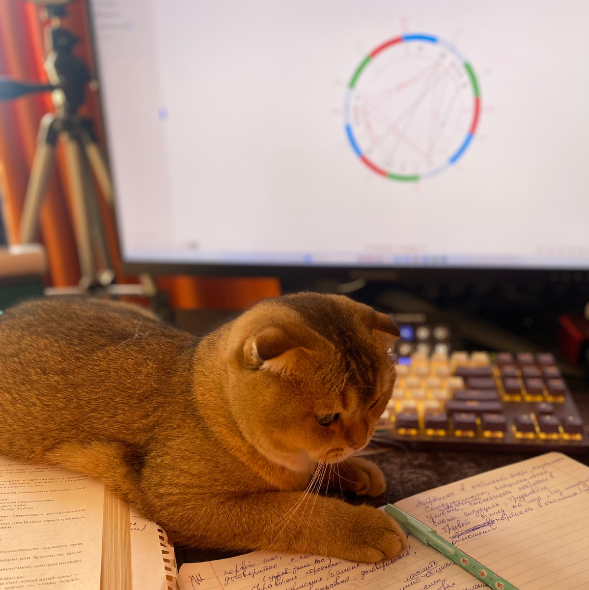 Мой коллега в изучении астрологии 