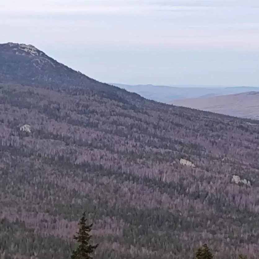 Фото: Поисково-спасательная служба Челябинской области