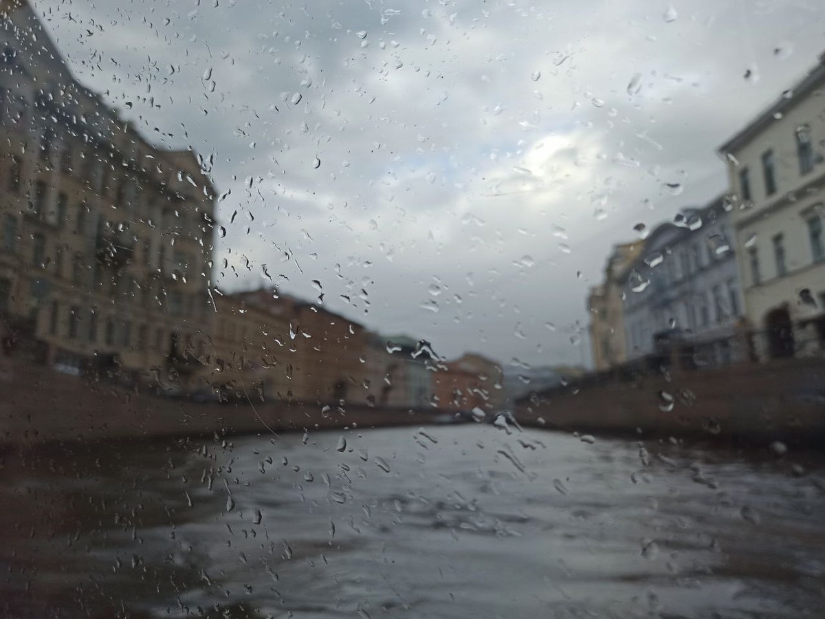 © Форпост Северо-Запад / Яна Ходаревская