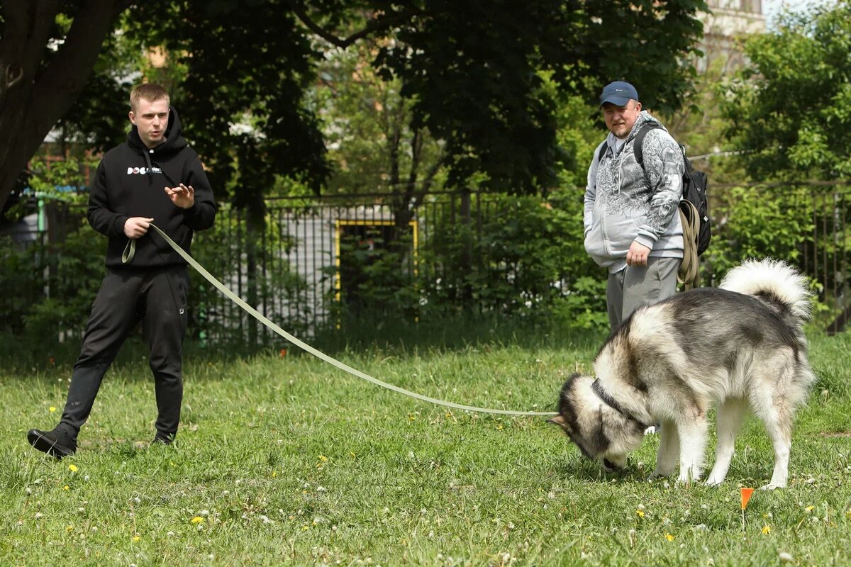 Групповые занятия в Москве