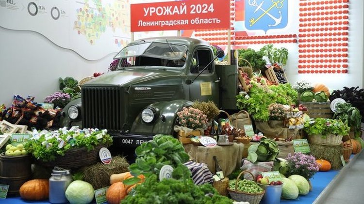    130 млн тонн составит урожай зерна этого года в России по оценке Дмитрия Патрушева