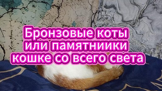 Бронзовые коты или памятники кошке со всего света