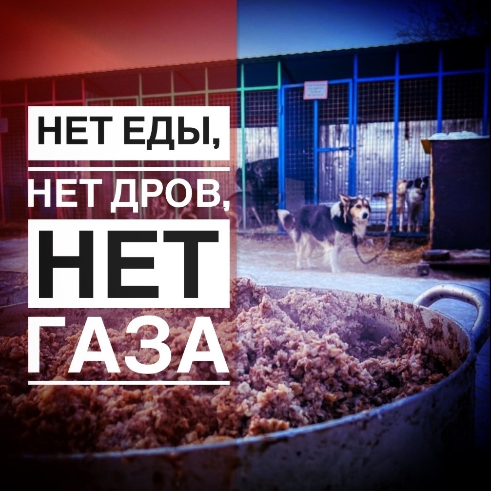 В срочном порядке объявляем ДЕНЬ СТОЛЬНИКА