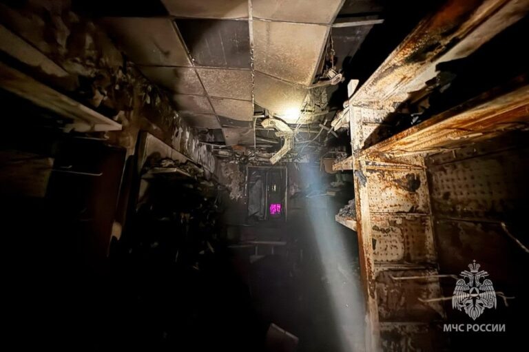    МЧС опубликовало подробности пожара в магазине на Салмышской в Оренбурге Кристина Просвиркина