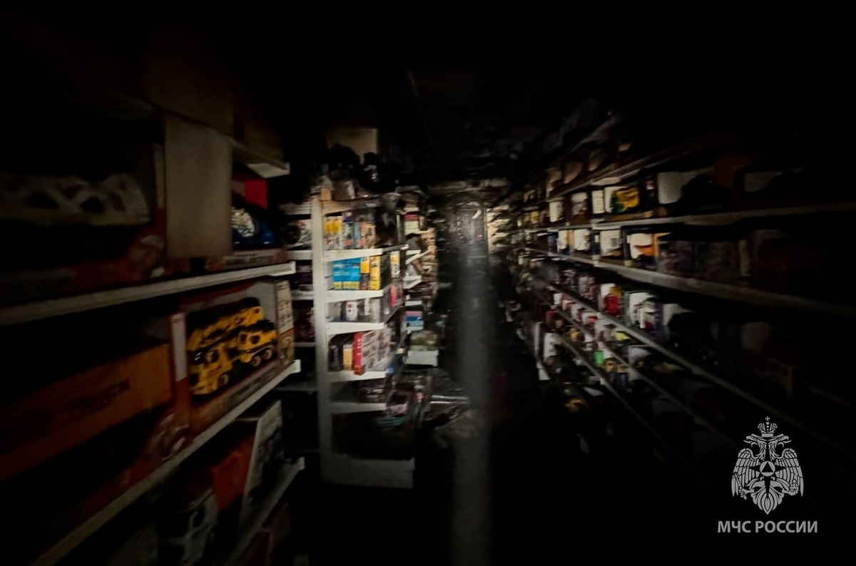    МЧС опубликовало подробности пожара в магазине на Салмышской в Оренбурге Кристина Просвиркина
