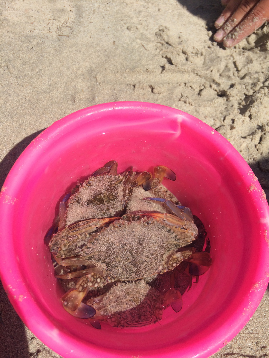 Поймал крабов