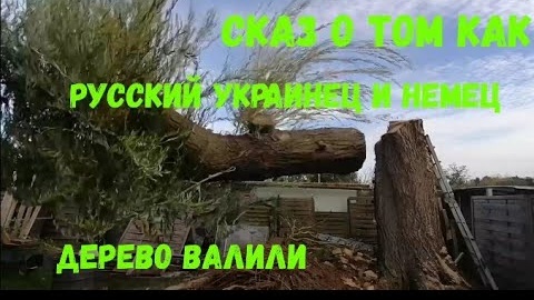 #16 Дача в Германии / Завалил дерево небоскреб / Работаю на даче