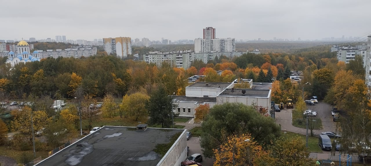 Фото автора Жесть недели