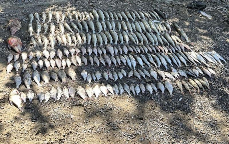 Фото пресс-службы УТ МВД России по СКФО