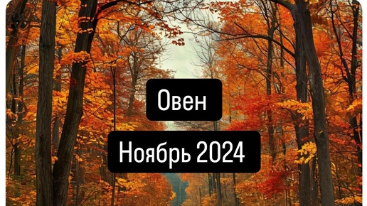 ОВЕН. Прогноз на Ноябрь 2024