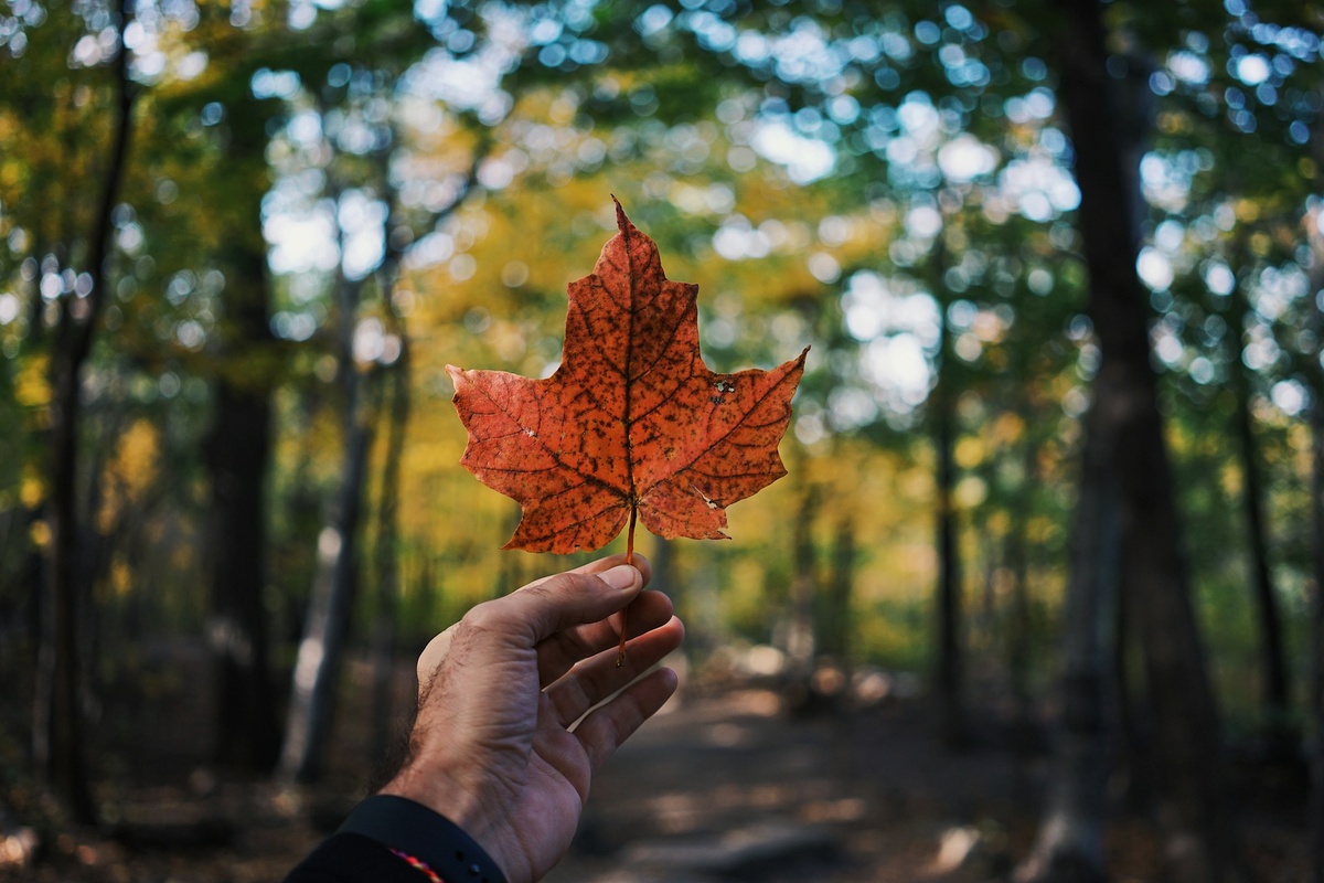 Photo by  Guillaume Jaillet on Unsplash