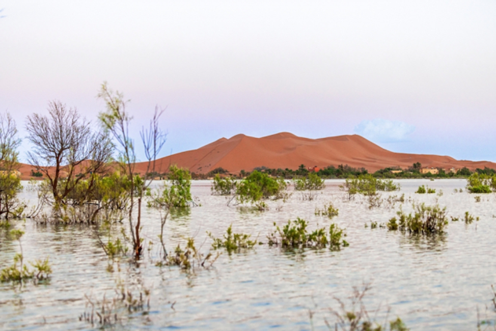 © TAGHLAOUIFOTOS / Shutterstock/FOTODOM