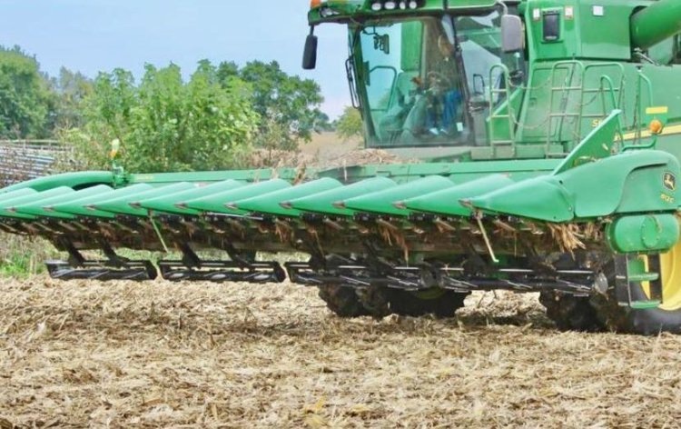    ГМО рапс в Канаде объявил войну сельскохозяйственным шинам