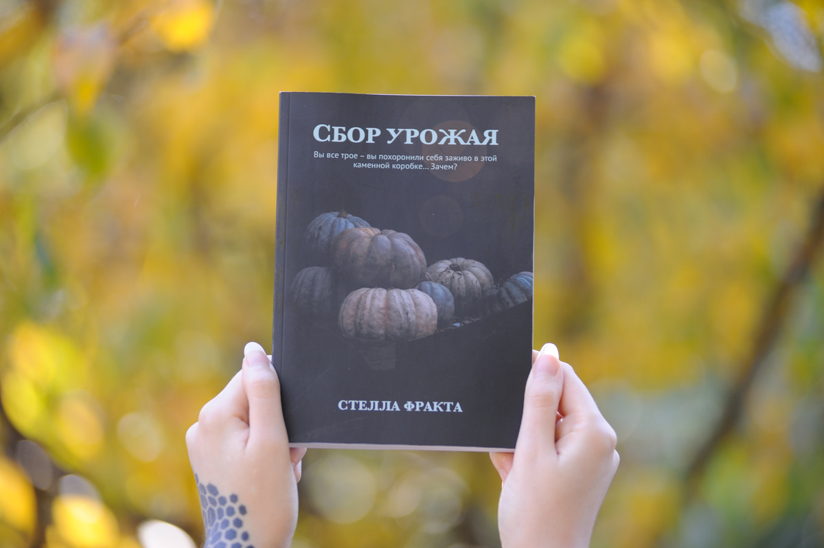 Стелла Фракта «Сбор урожая»