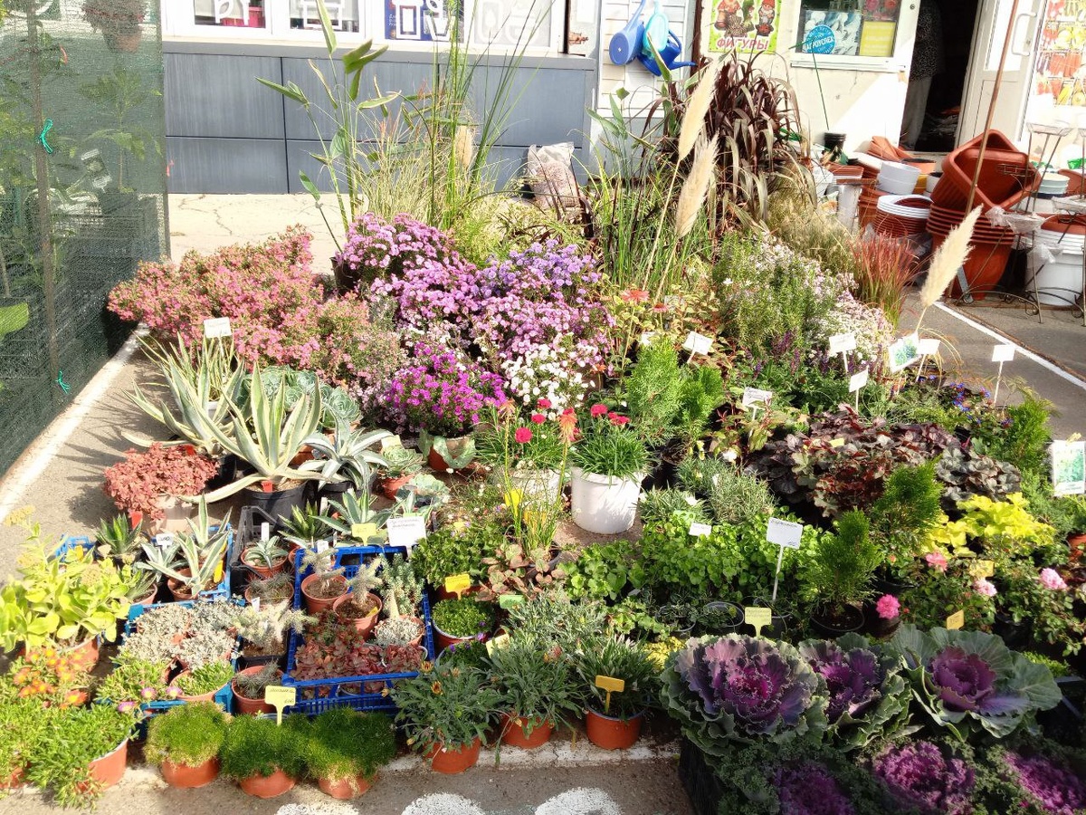 Фото: газета «Тамань»