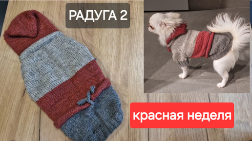 КРАСНАЯ НЕДЕЛЯ СП 