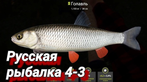 Russian Fishing 4 # 3 ( Первый хвост за килограмм ! )