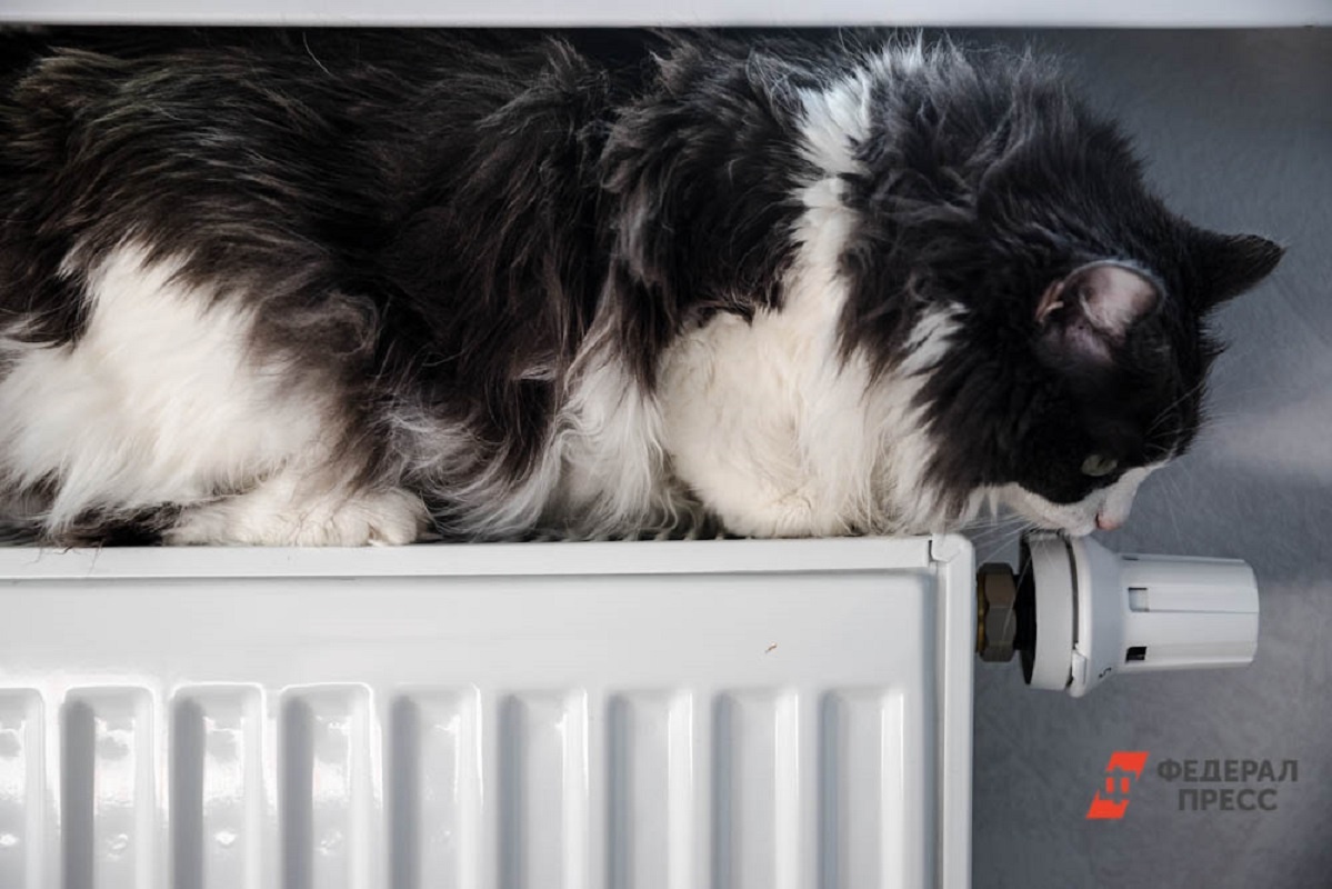 Такое решение было принято в связи с предстоящим похолоданием.  Фото: Фото: ФедералПресс / Евгений Поторочин