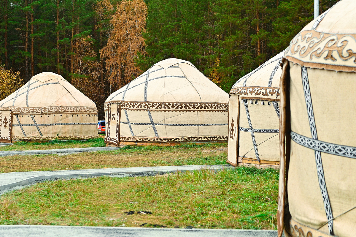 Фото: Белая лошадь, загородный клуб