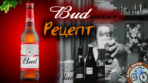 Сварил BUD | Попробовал ВЕСЬ Budweiser | рецепт ПИВА