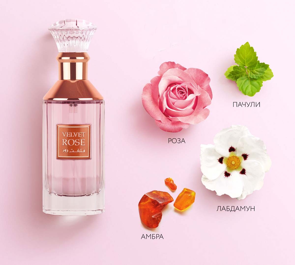 верхние ноты: роза, пачули средние ноты: мускус, лабданум
базовые ноты: мускус, амбра