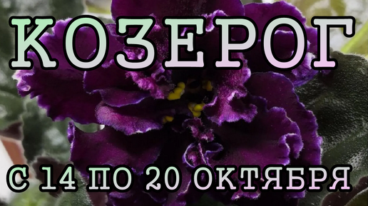 КОЗЕРОГ таро прогноз на неделю с 14 по 20 ОКТЯБРЯ 2024 года.