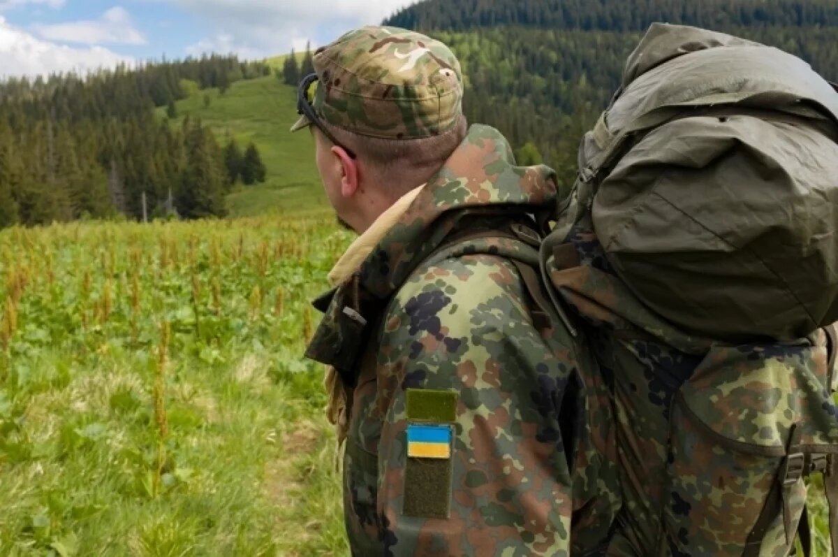    ВС РФ сообщают о массовых расстрелах солдат ВСУ украинскими заградотрядами