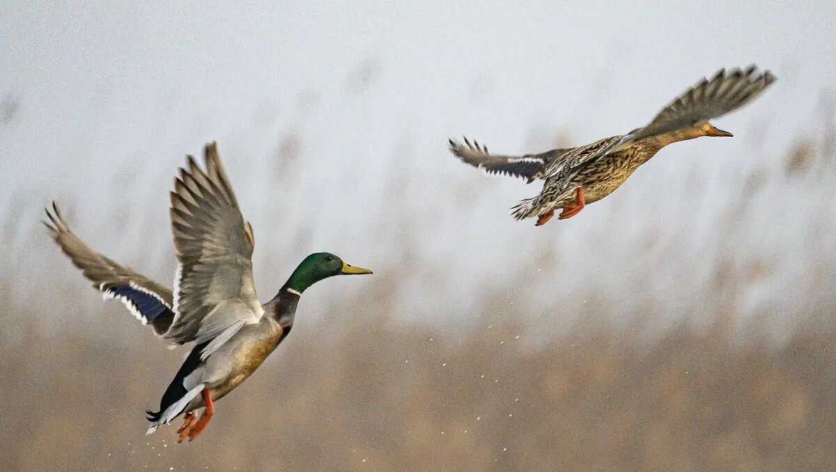     Автор: Unsplash