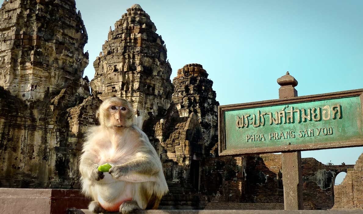 Город обезьян 