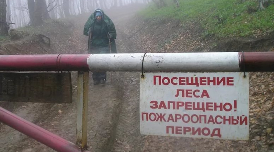    Фото: Дзен