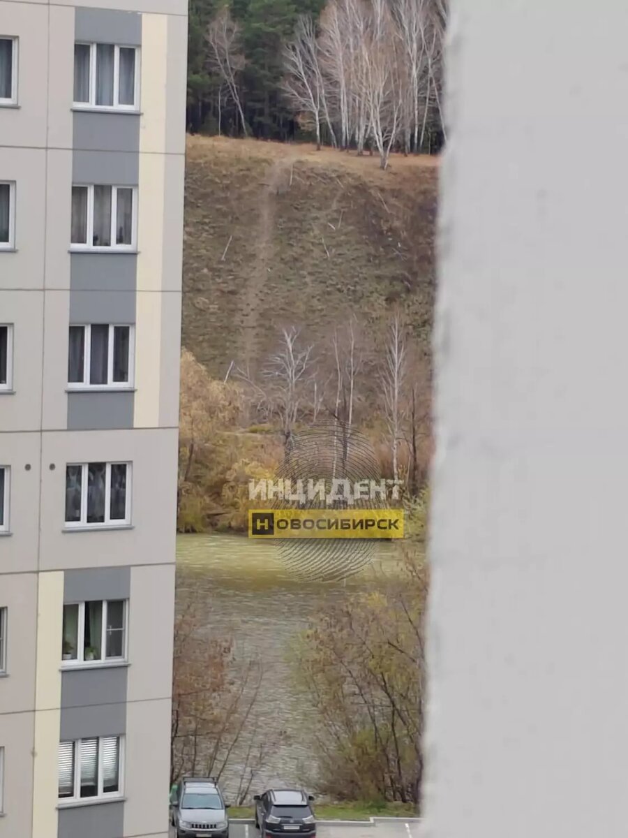     Источник: Инциднт Новосибирск