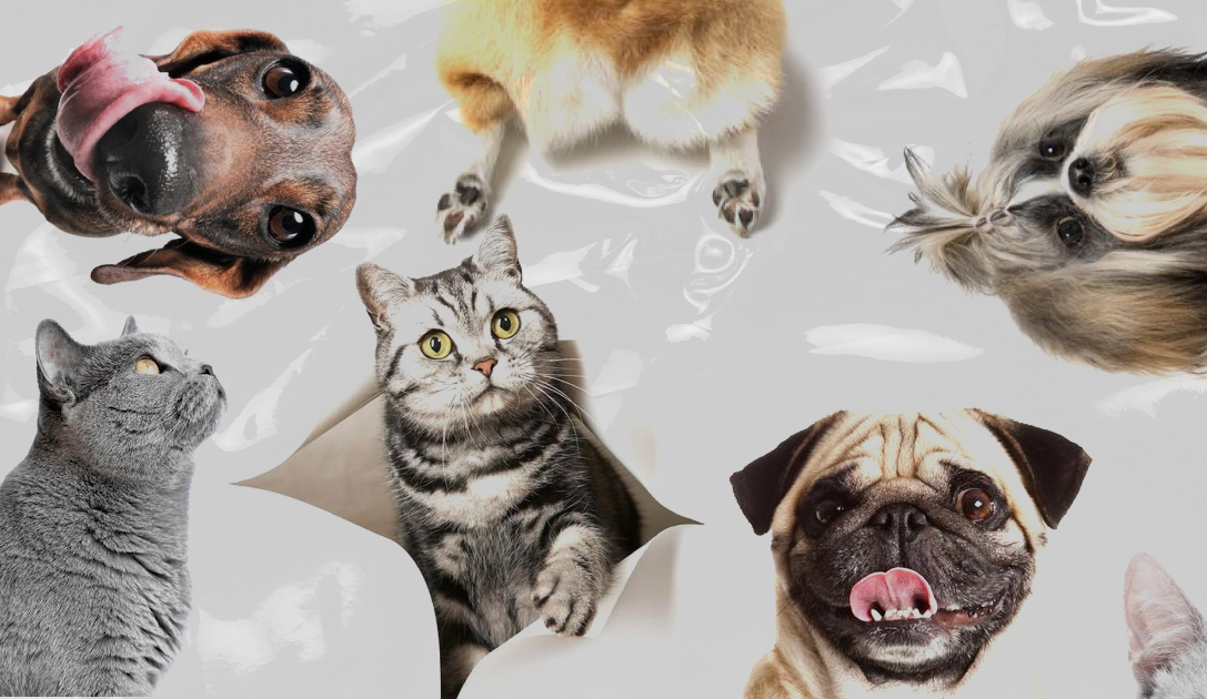 Нескучный канал о маркетплейсах. Здесь смешные отзывы, душевные разговоры о бизнесе и много пользы простым языком. Подписывайся!