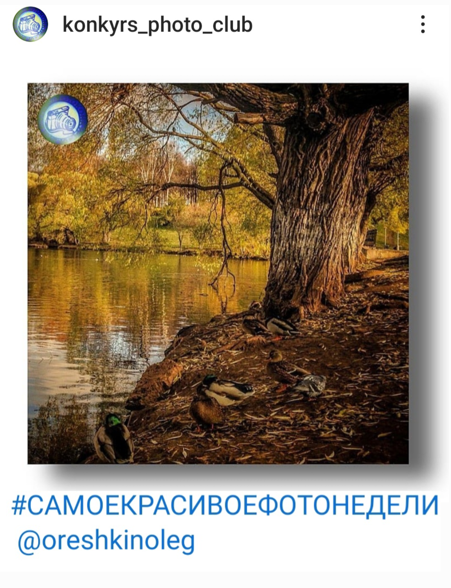 konkyrs_photo_club 