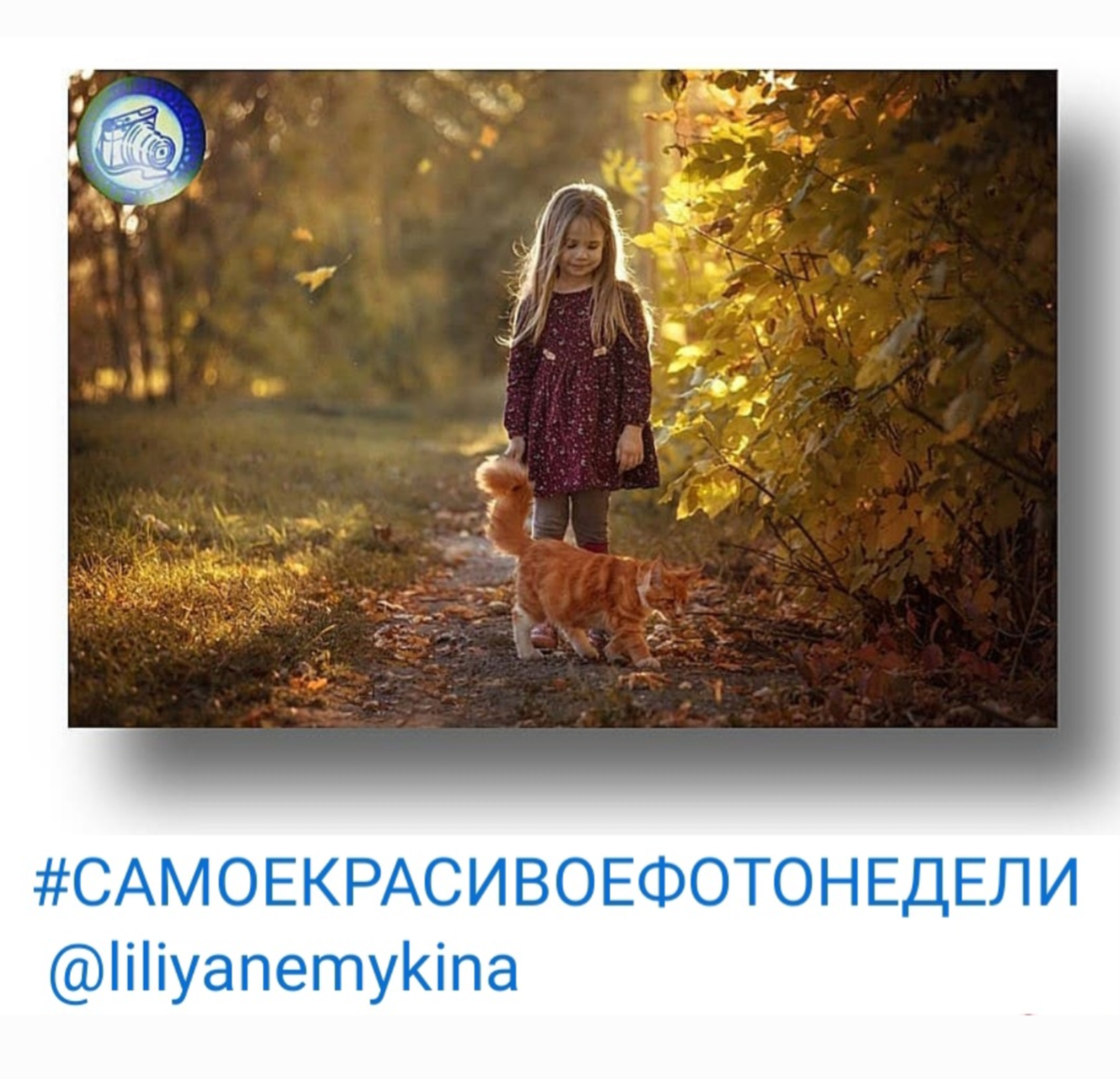 konkyrs_photo_club 