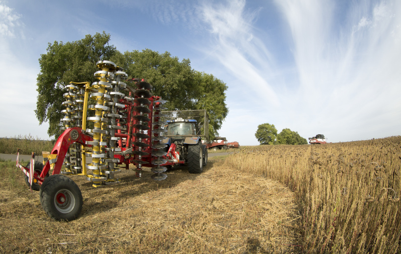    Фото: Nikolay Gyngazov/Globallookpress