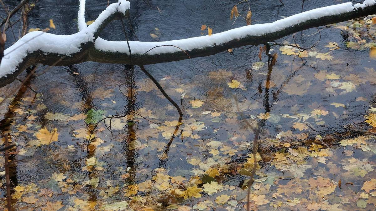   Фото: Ярослав Чингаев / АГН Москва