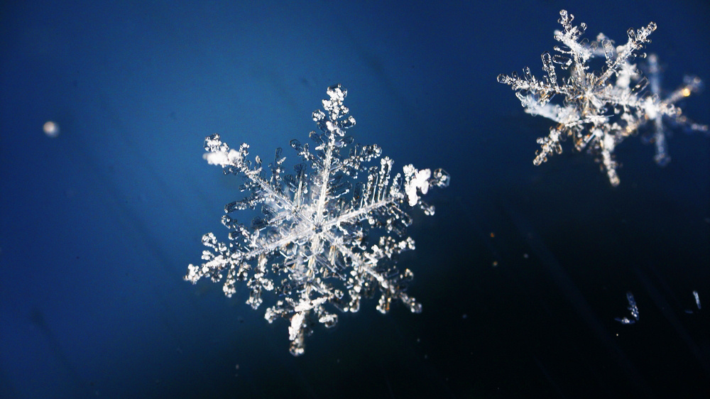    Фото: Shutterstock.com