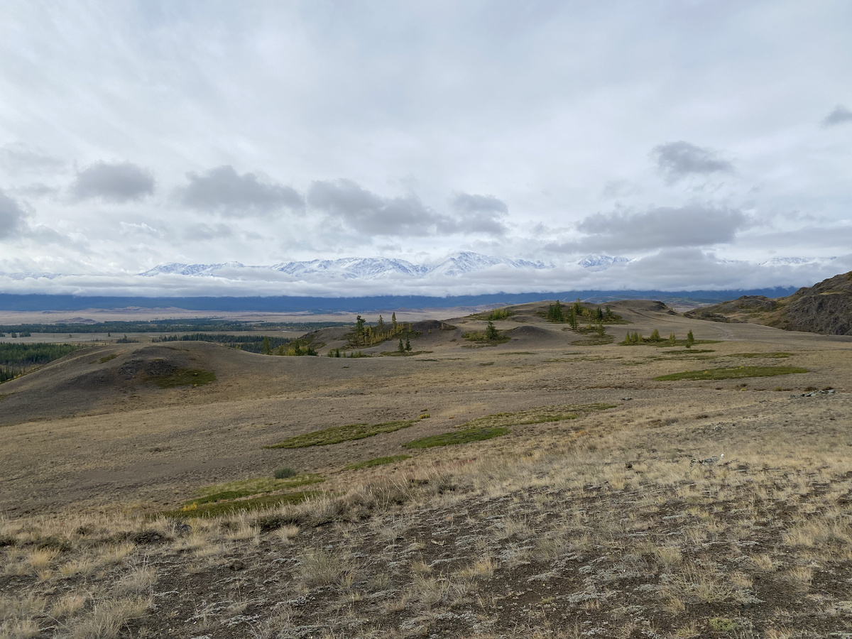 Наше любимое место в Курайской степи