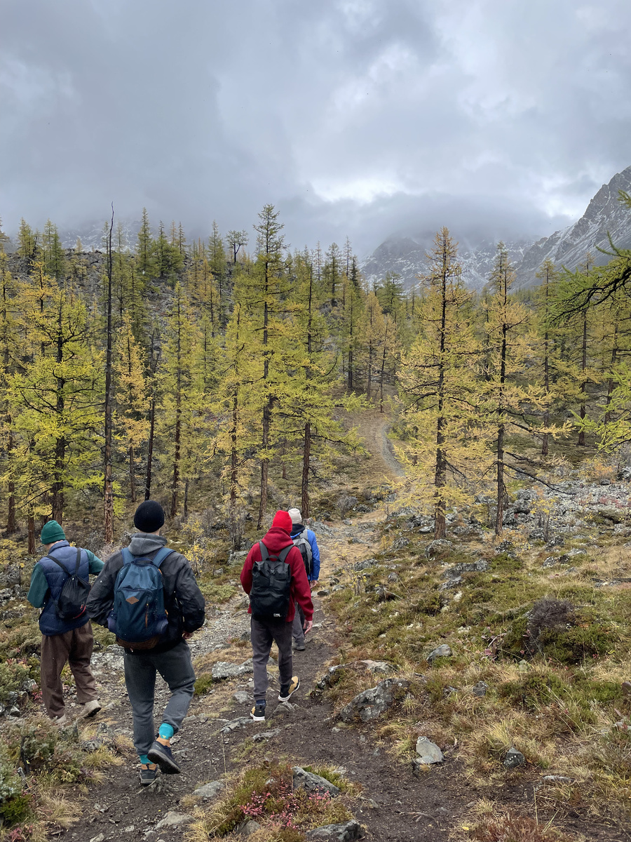 Вот такая тропа пролегает на этом маршруте