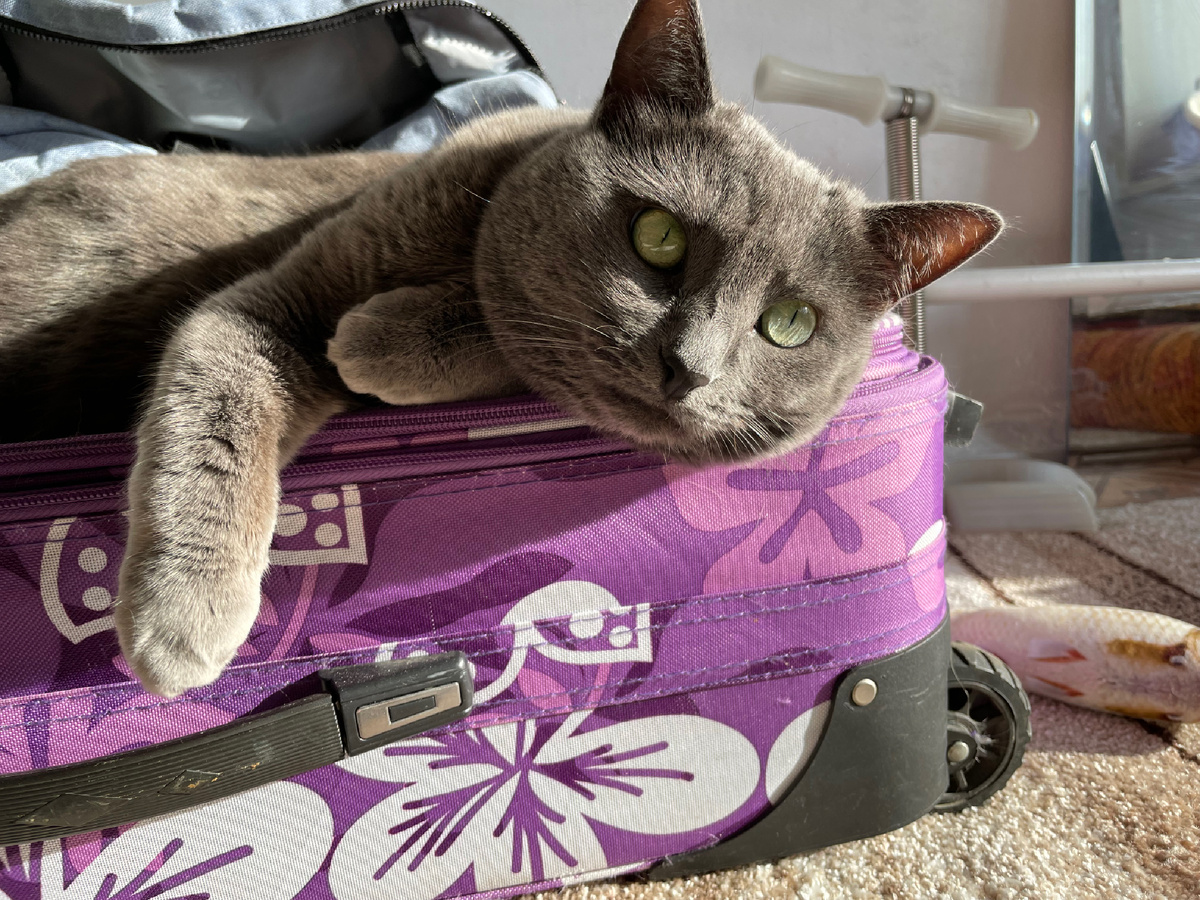 Шагнула я молочный шаг, а ей все больно и не так:(