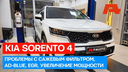 Решаем проблемы нового Kia Sorento: удаляем сажевый фильтр, отключаем AdBlue, EGR, делаем чип-тюнинг