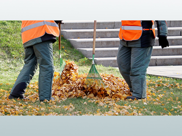 Психологов навалом, а дворников нет. Дефицитные профессии в Тверской области