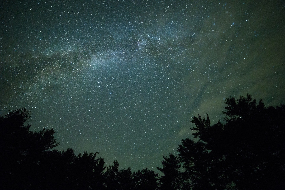 Фото: Pexels/Pixabay.com