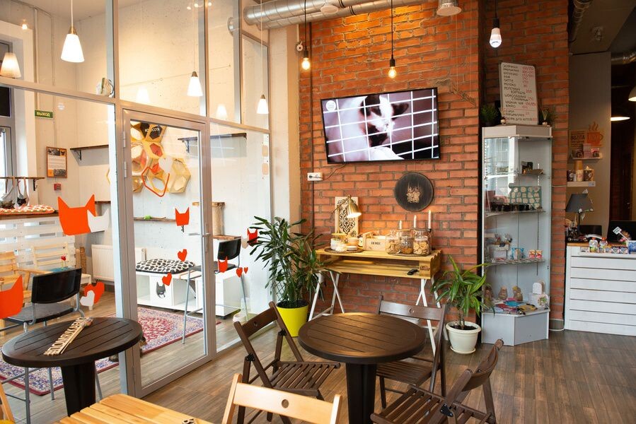 Фото: Вконтакте