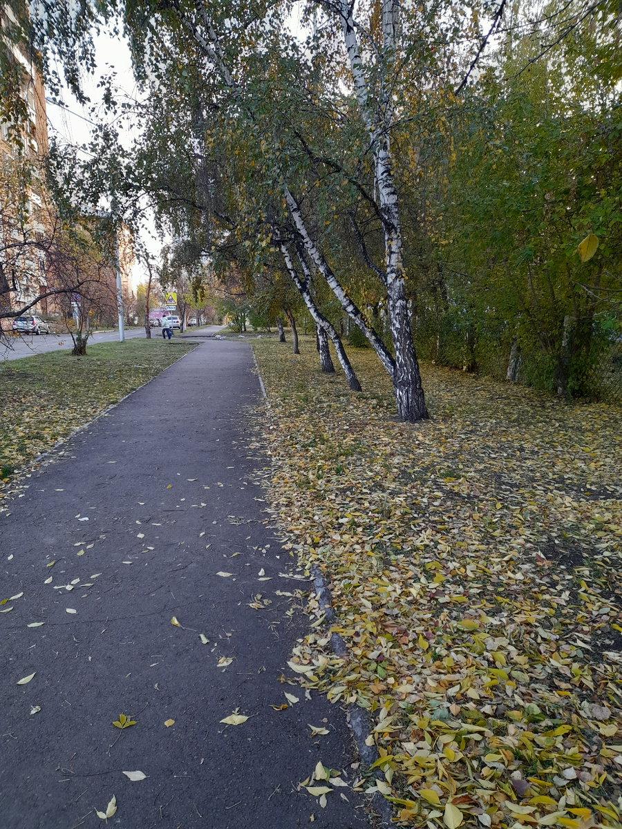 Фото автора.  Аллея возле дома 
