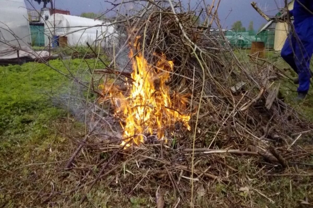    В регионе действует противопожарный режим, разводить открытый огонь запрещено.