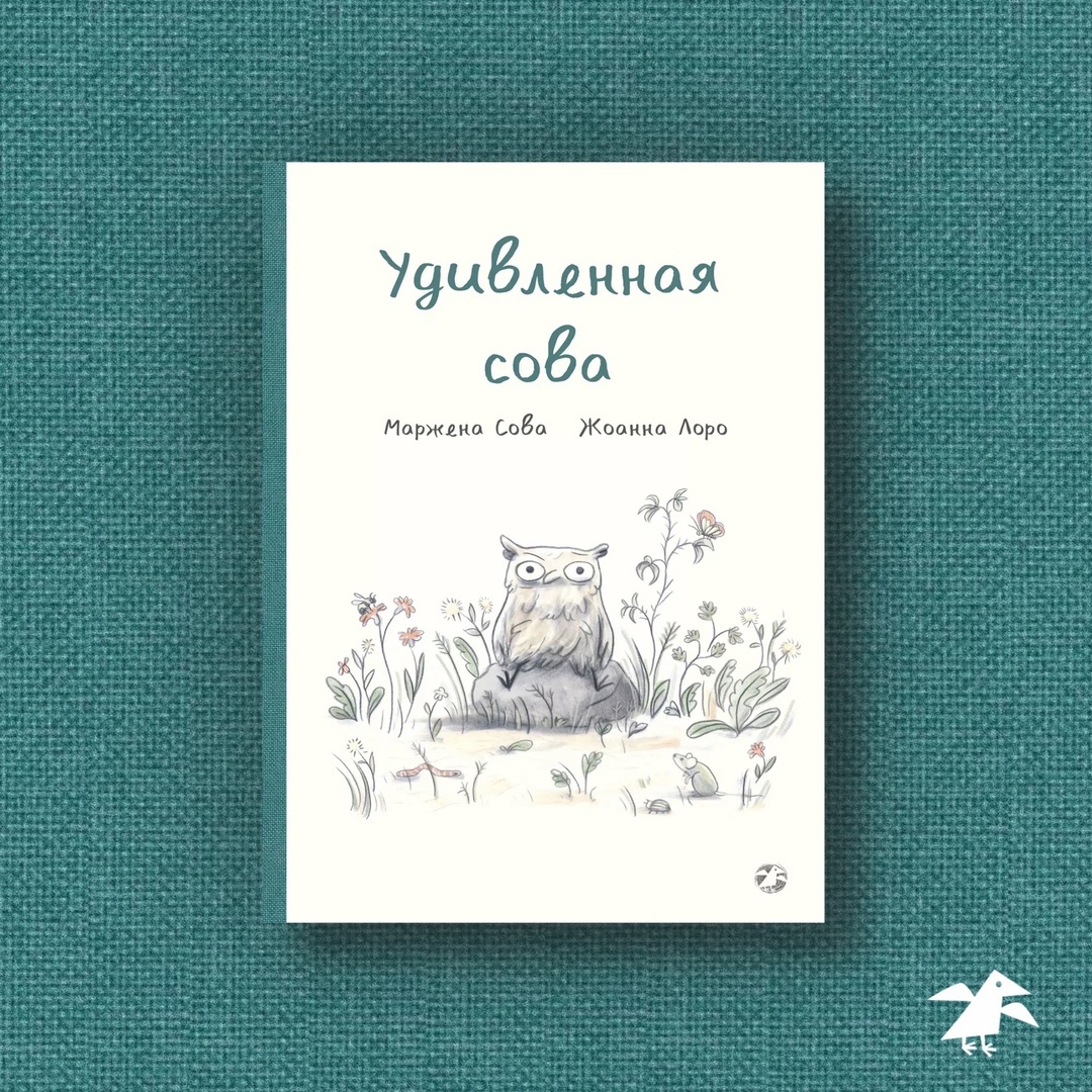 Маржена Сова «Удивленная сова»