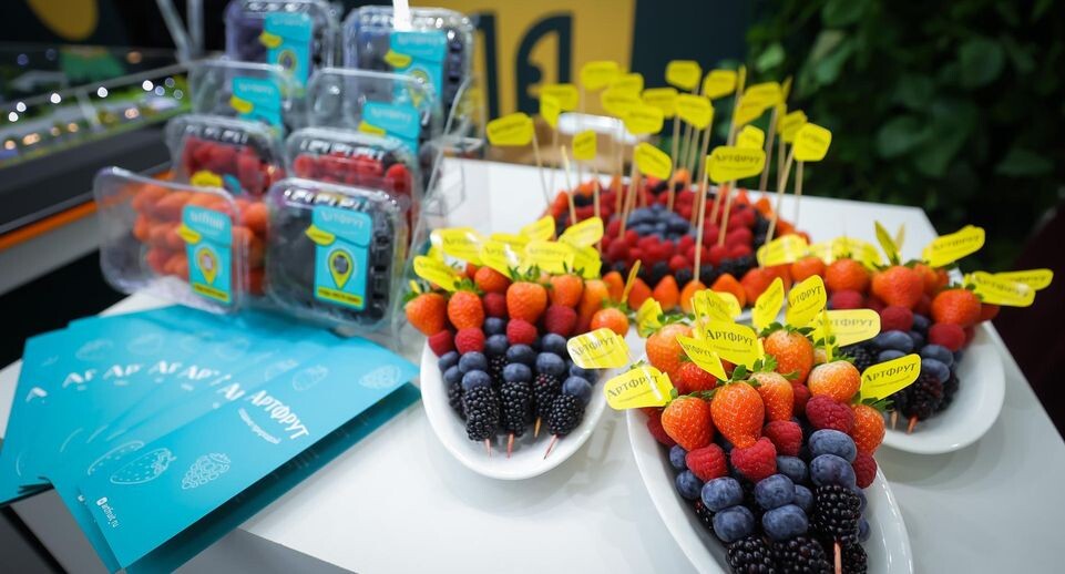    Константин Семенец