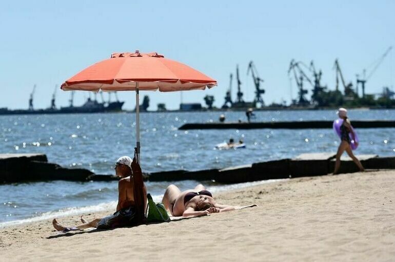   Павел Лисицын / РИА Новости